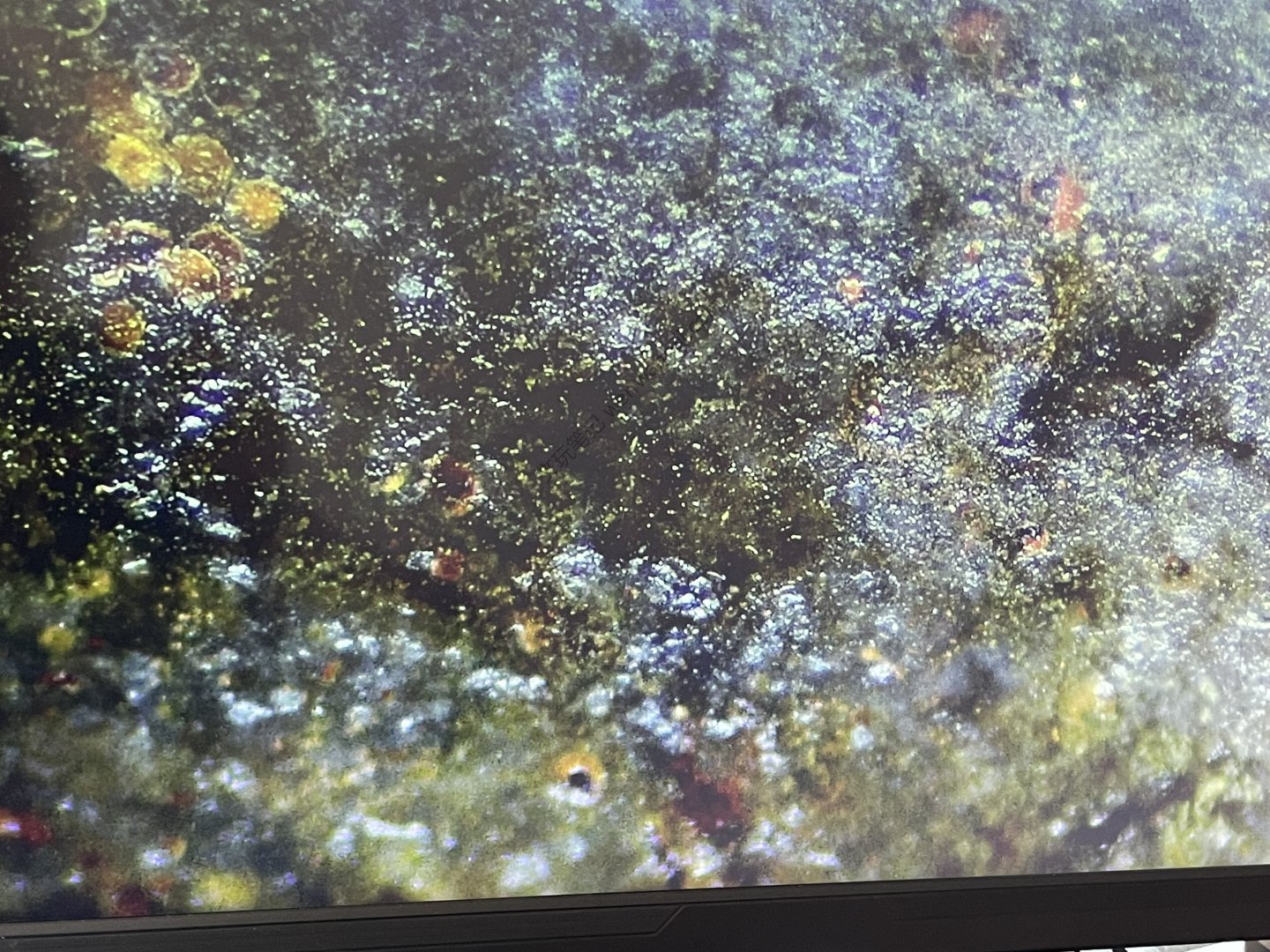 笔记图片
