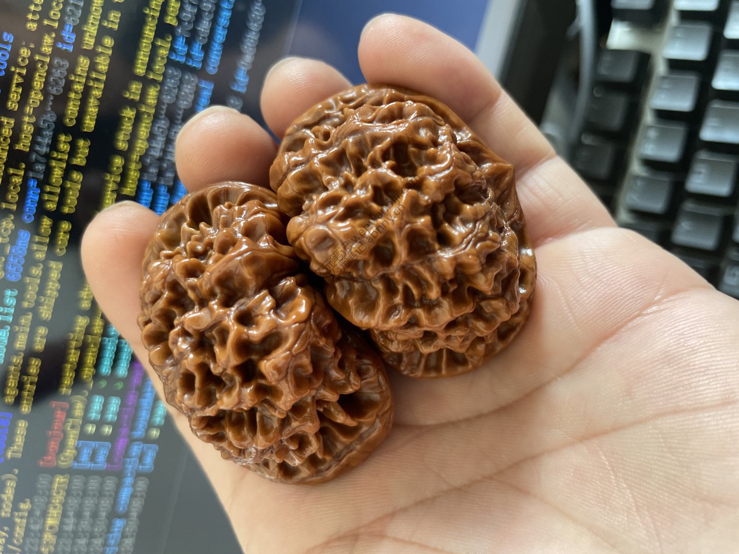 麒麟纹大官帽文玩核桃 - 木核文玩 现代