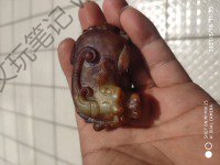 我与汉代玉貔貅·逍遥